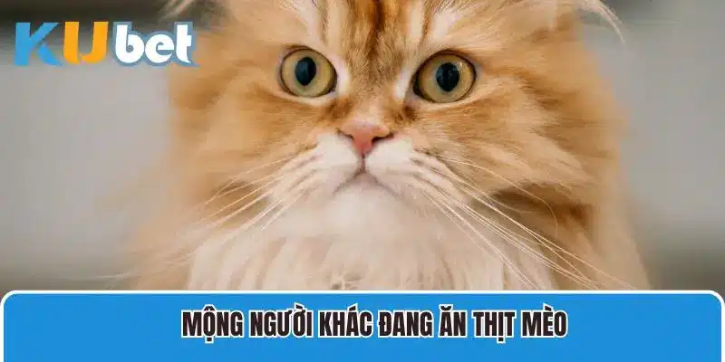 Mộng thấy người khác đang ăn thịt mèo