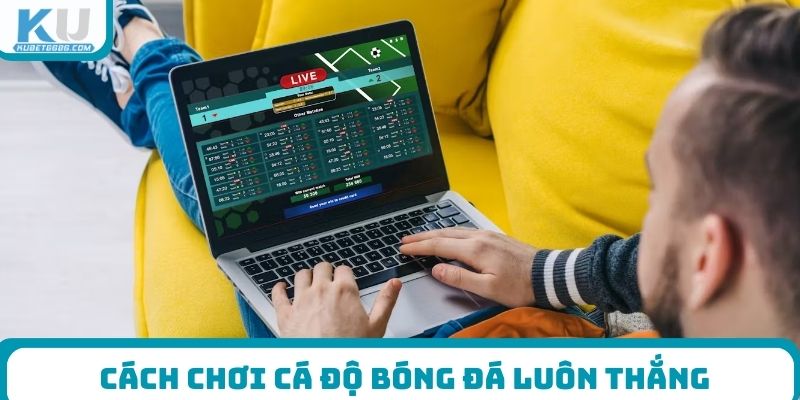 Cách chơi cá độ bóng đá luôn thắng